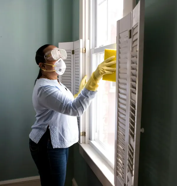 Cleaner