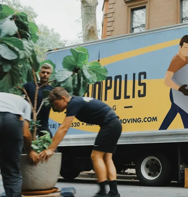 Mover